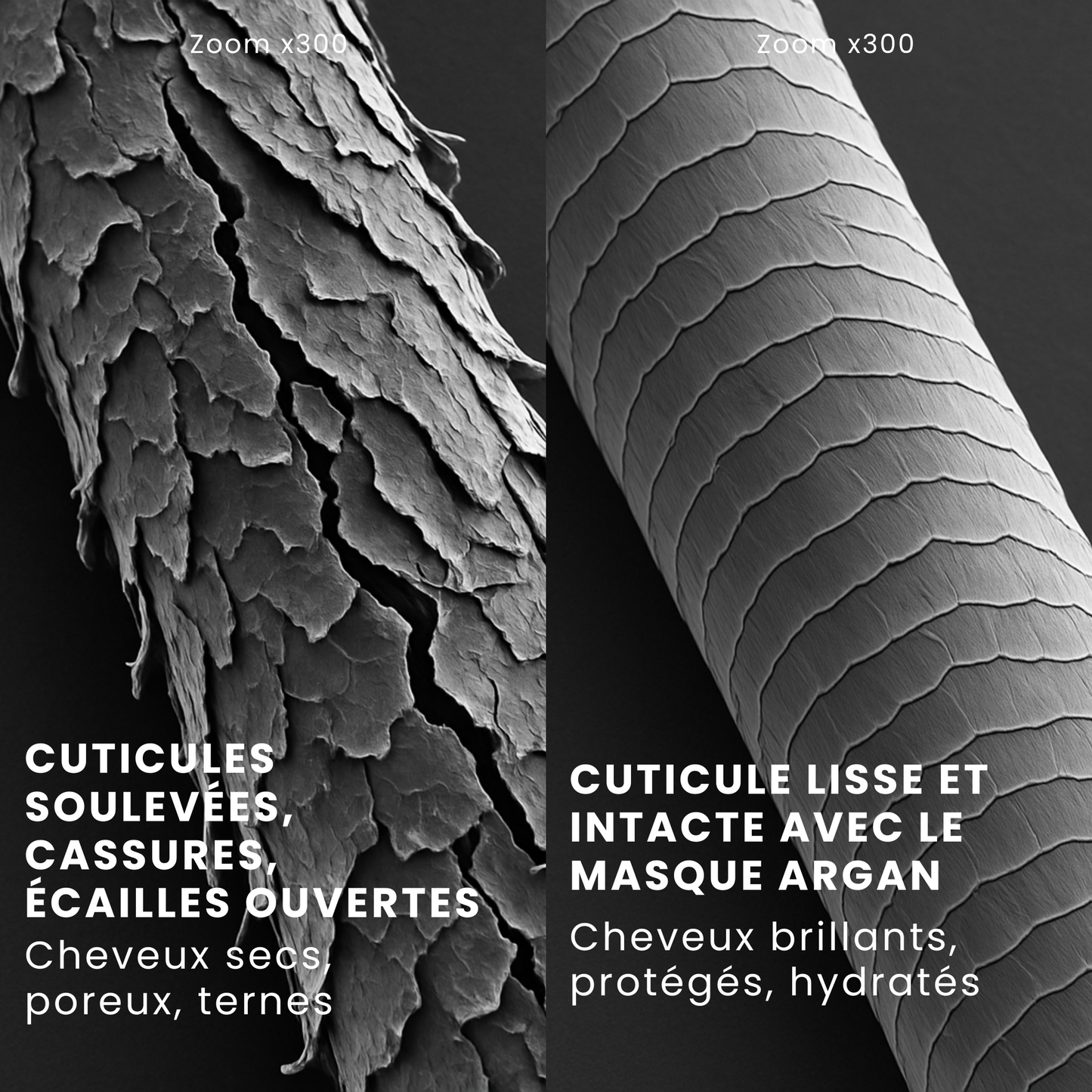 Masque ultra nourrissant à l'huile d'argan pour cheveux secs et cassants