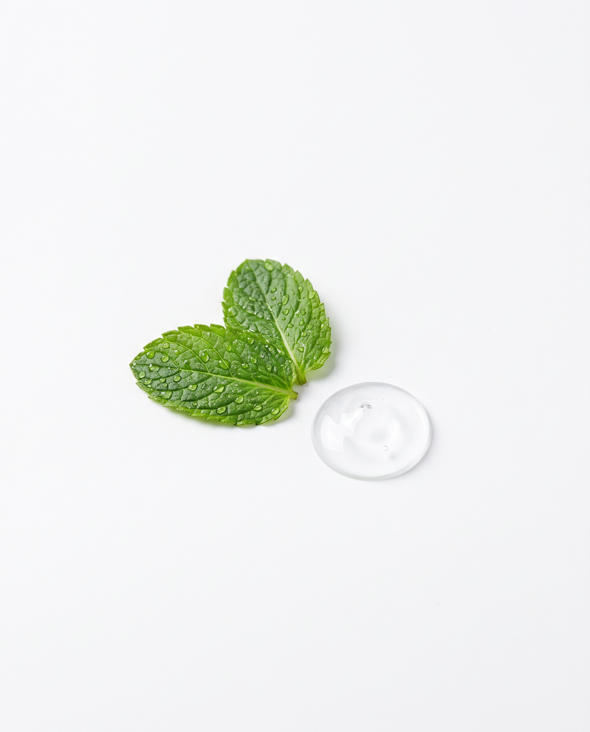 Menthe poivrée
