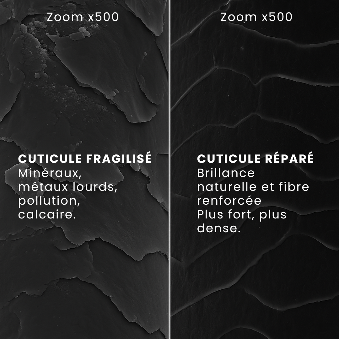 Comparaison au microscope d'une cuticule de cheveu fragilisée puis réparée