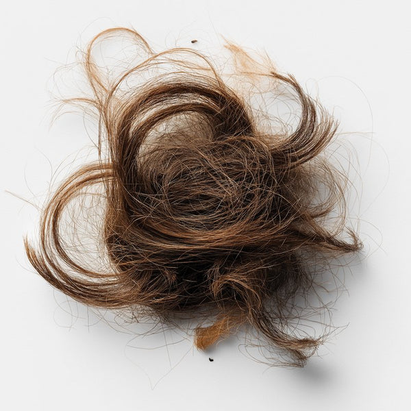 Cheveux secs & cassants